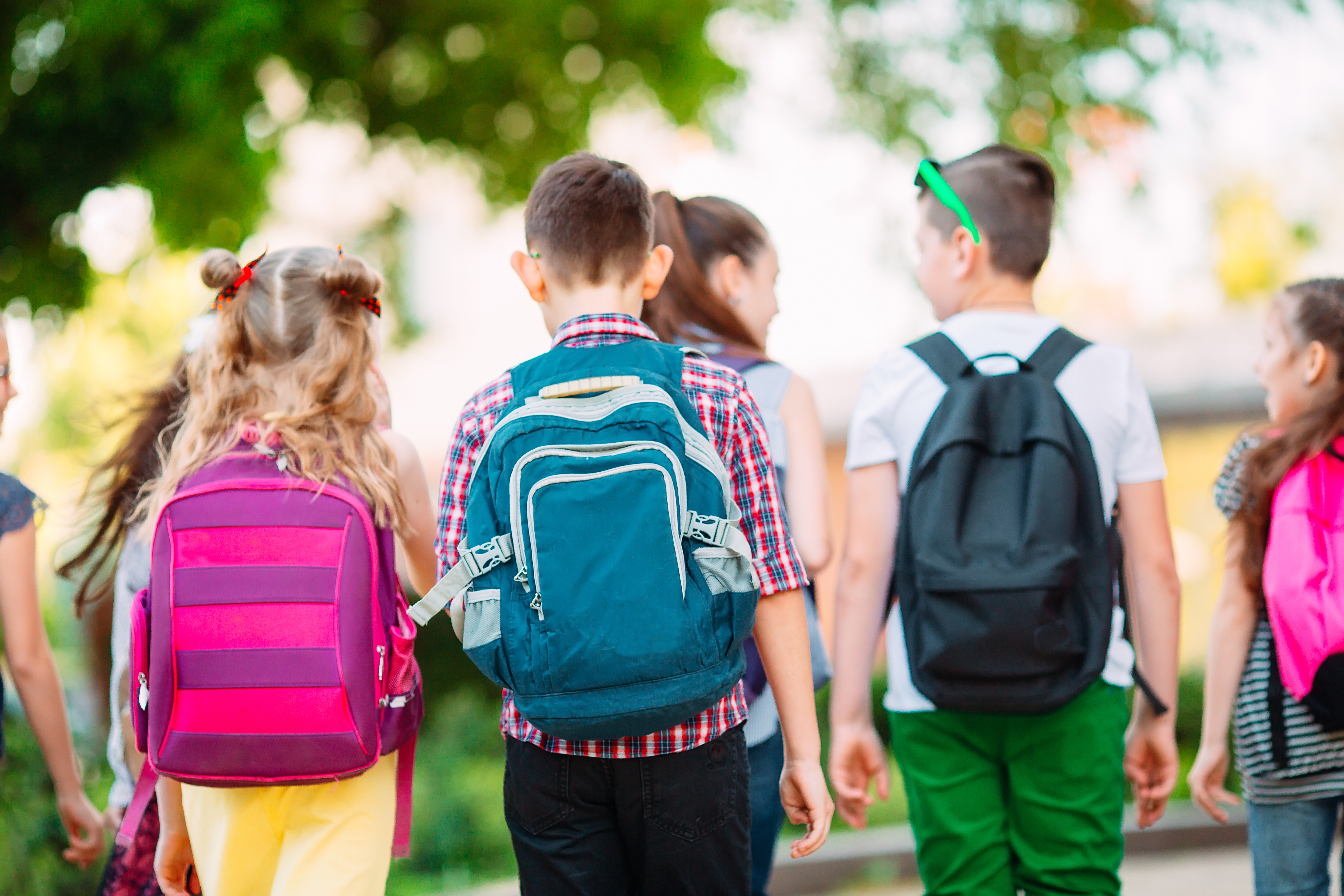 Edilizia scolastica, sbloccati 114,4 milioni per adeguamento antisismico e interventi urgenti