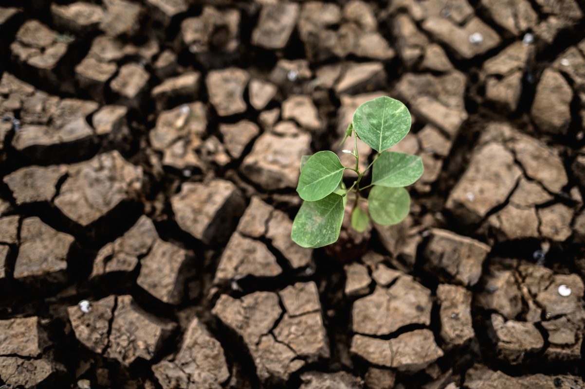 News Beccaceci — Infrastrutture idriche e cambiamento climatico: una sfida da affrontare insieme
